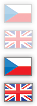 Primary Raster logo